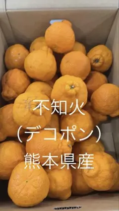 不知火（デコポン）大中小混ざりサイズ　10キロ　熊本県産のサムネイル