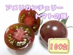 amane様 リクエスト 5点 まとめ商品