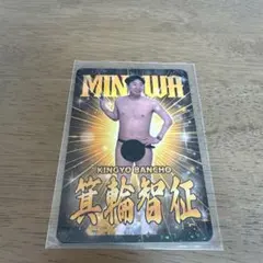 金魚番長 単独グッズ 全裸カード - メルカリ