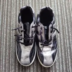 Item thumbnail for item a085e2cc-61c7-4c17-8956-96f801ee4088