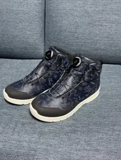 Item thumbnail for item 5bac61e4-de60-4cfc-bada-88e7c3f26b36