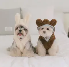 【ssfw】韓国犬服　ポンチョ　ブラウンM