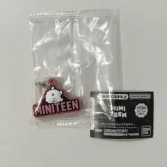 ミニティーン　アクセサリー　ガチャ　seventeen セブチ　ウジ