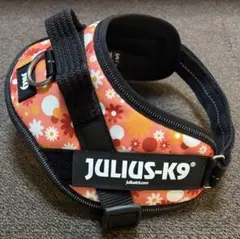 【美品】Julius-K9ユリウスケーナインIDCパワーハーネス フラワー２ミニのサムネイル