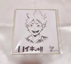 ハイキュー 日向翔陽 色紙