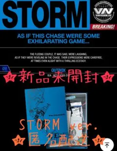 新品未開封 ENHYPEN THE SIN VANISH STORM 1枚のみ
