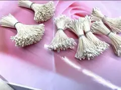 Item thumbnail for item 7f277e82-498f-462e-8b0c-08f40b19ca53