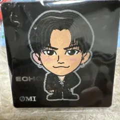 OMI ピンズ