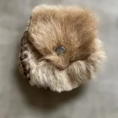 Item thumbnail for item f8e149b0-5c67-438d-a47a-dce7ac915949