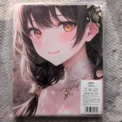 Item thumbnail for item 8b9ea253-1f56-4add-b1db-adca9bcaeda8