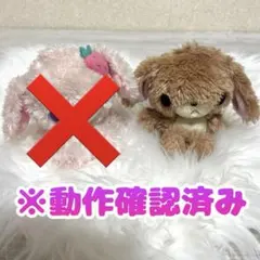 新品②❤️ シュガーバニーズ フレンド ぬいぐるみ うなずき くろうさ　激レア 新品②❤️ シュガーバニーズ フレンド ぬいぐるみ うなずき くろうさ