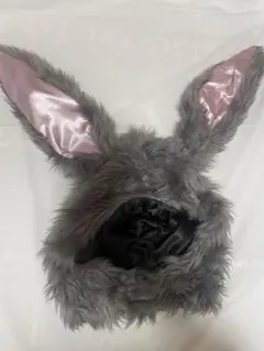 うさぎの被り物　ハロウィンコスプレ　文化祭コスプレ