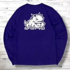 Champion チャンピオン ロンT デカロゴ 紫 S 1279