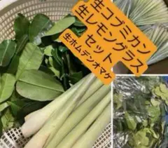 セットレモングラス200gコブミカン葉30gパンダンリーフ5 枚ホムデン