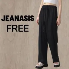 JEANASIS ジーナシス ボカシガライージーパンツ FREE