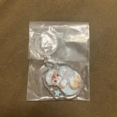 モフサンド✕サンリオ・ふらっとめじるしアクセサリー　『ハンギョドン』