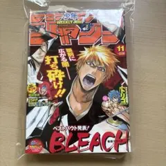 週刊少年ジャンプ 2010年11号 「ポートガス・D・エース死す」