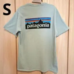 patagonia Tシャツ