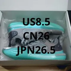 WADE ALL CITY 11 ウェイドオールシティ11　US8.5 26.5