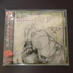 Dinosaur Jr. You're Living All Over Me