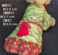 り*ぶ様 ★現品★XS 平安風お内裏様のうぐいす色金波柄着物にエンジに金桜柄袴