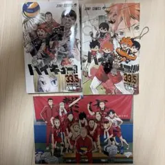 劇場版ハイキューゴミ捨て場の決戦 入場特典 まとめ売り