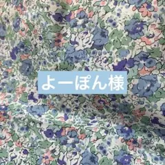 Item thumbnail for item 954f4d34-1eb2-403a-a67e-24bc185de979