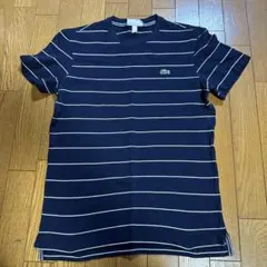 LACOSTE ネイビー ストライプ Tシャツ