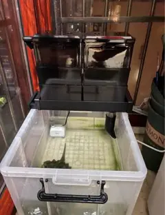 中古】60㎝ガラス水槽用 上部濾過アクアポニックス仕様 - メルカリ