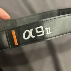 Item thumbnail for item 2462b865-4319-4534-902f-52505777528f