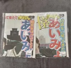 あいみょん デイリースポーツ特別号 10周年記念 2種セット 新聞