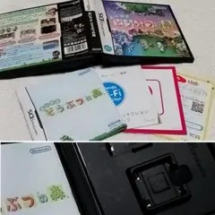 おいでよ 동물의 숲 DS 箱のみ