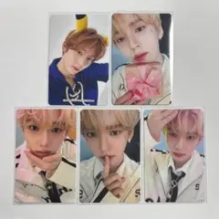 ZB1 ゼベワン prezent プレゼント 封入 ラキドロ ポケモン ユジン