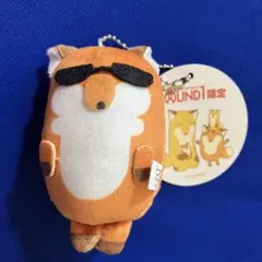 新品！ROUND1限定 キツネたち　ぬいぐるみ　MC