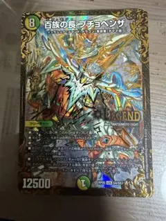 2026年最新】百族の長 プチョヘンザの人気アイテム - メルカリ