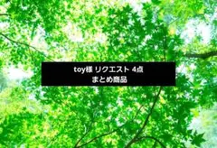 toy様 リクエスト 4点 まとめ商品