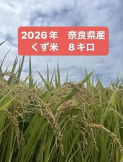令和8年鹿児島県産 なつほのか お米 新米 約2kg 精米済 農家直送
