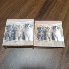 中古 ミルフィー マイキティアイパレット 06 / フィーリップグロス 03