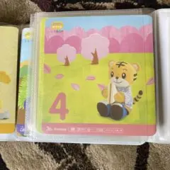 こどもちゃれんじ DVD 全巻セット