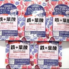 오리히로 칸데 딜리셔스 츄어블 서플리먼트 철분+엽산 120정, 5봉지