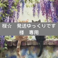 桜☆　発送ゆっくりです様　専用