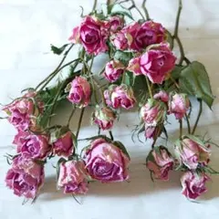 ❁*。アトリエ  Jade ⋆*❁*様 リクエスト 3点 まとめ商品