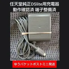 ⑦DSlite用 充電器 動作確認整備済み 即購入歓迎 任天堂純正USG-002