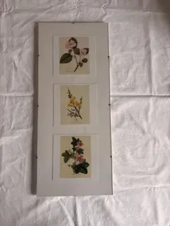 Item thumbnail for item a108898e-8061-46ad-acee-1306c02aa6fd