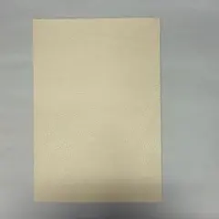 Item thumbnail for item fc1dc6ef-5d91-4ebf-84d6-09f19a9b36b2