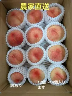 山形県東根市産　桃　おどろき 訳あり箱込3kg 多少のキズや汚れありのサムネイル