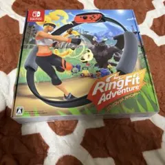 ⭐︎値下げ歓迎⭐︎リングフィットアドベンチャー