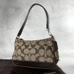 ✨美品✨コーチ　アクセサリーポーチ　ワンショルダー　シグネチャー　ブラウン