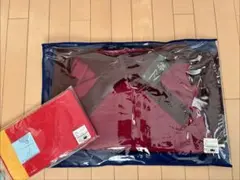 Item thumbnail for item 9c2a6146-2df6-4ff2-9bd8-56a5b5fd63c5