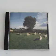 Item thumbnail for item d741555c-ec4c-462b-bb71-73661d5cc01a